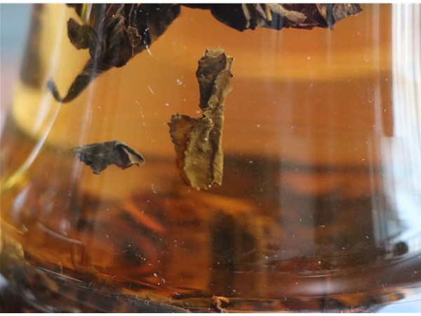 從葉底了解茶葉的秘密